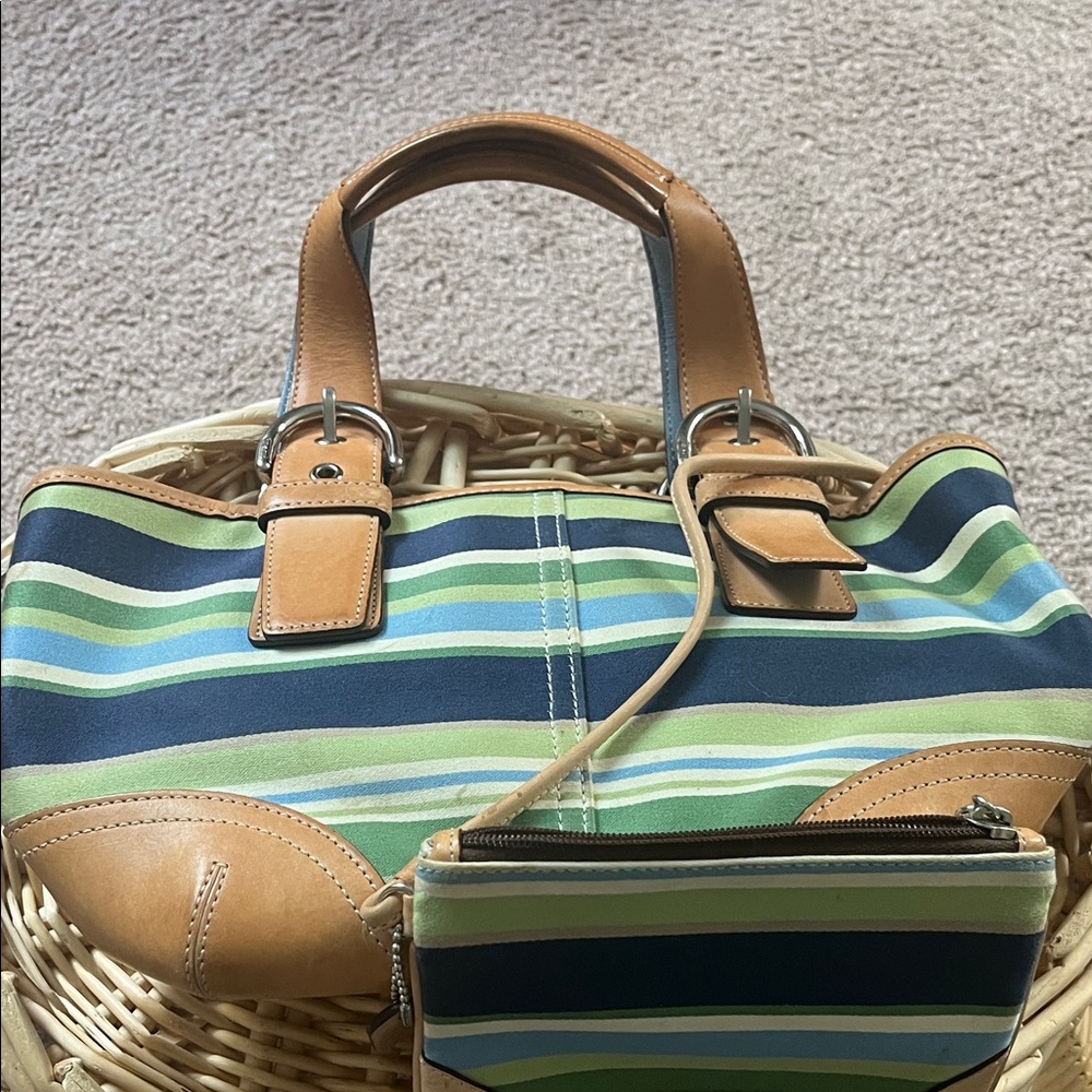 Coach Blue and Tan Striped Shoulder Bag